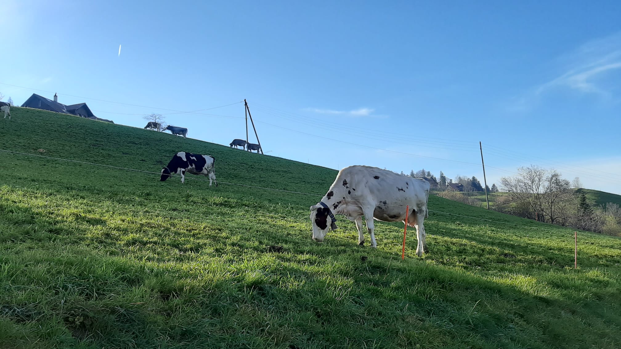 Was ist biologische Landwirtschaft? Bioblog